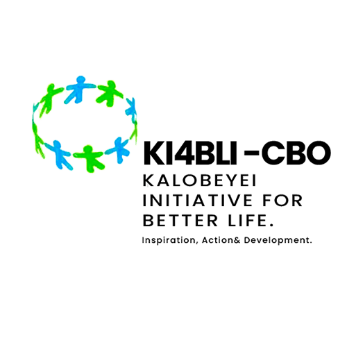 KI4BLI Logo